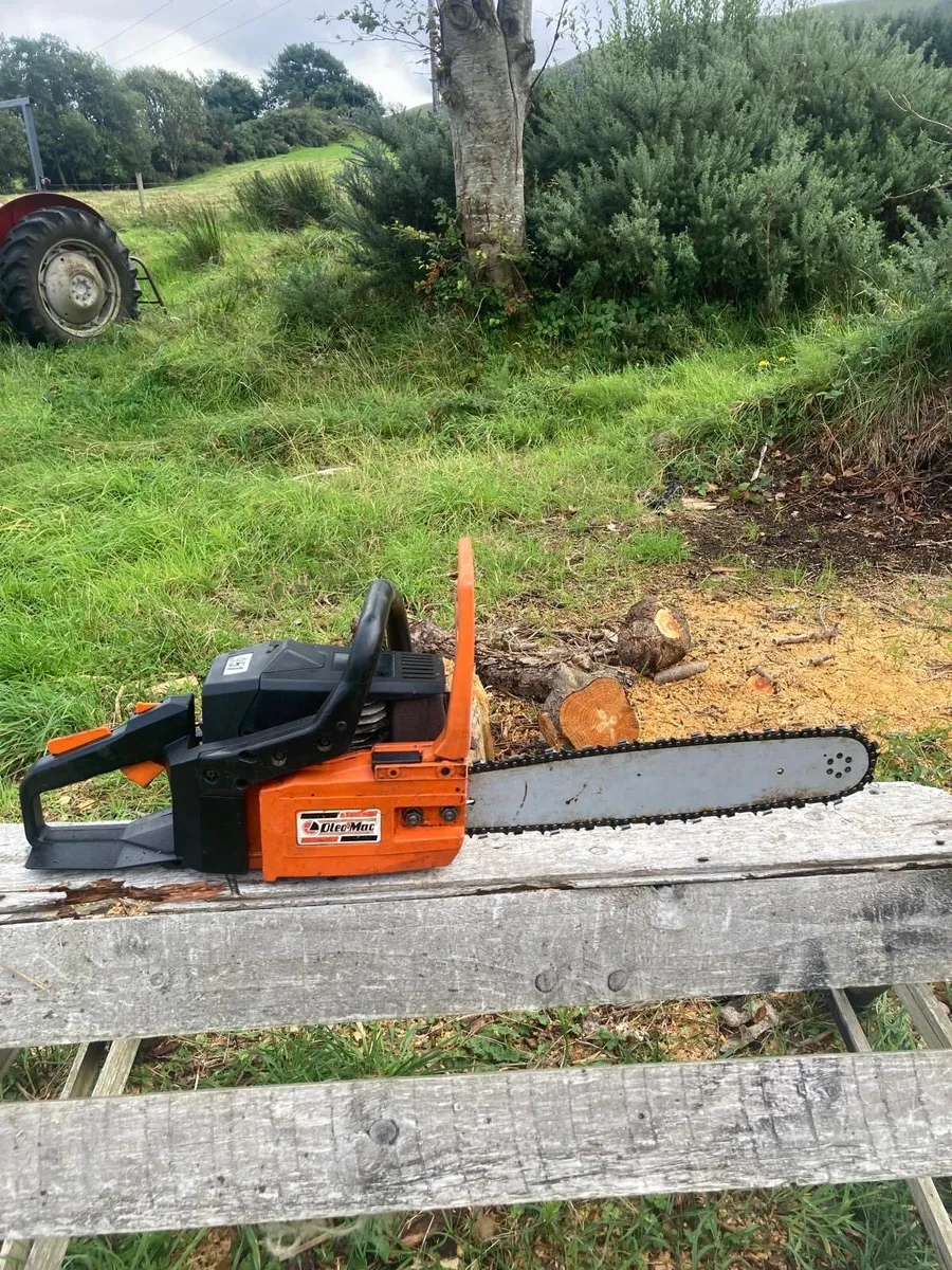 Oleomac Chainsaw - Image 1