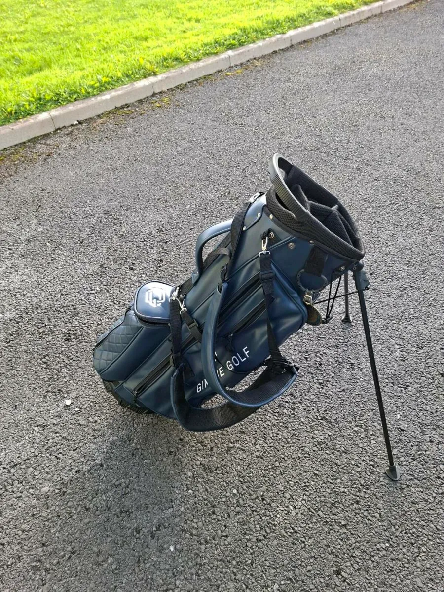 Premium Leather golf bag - Image 1
