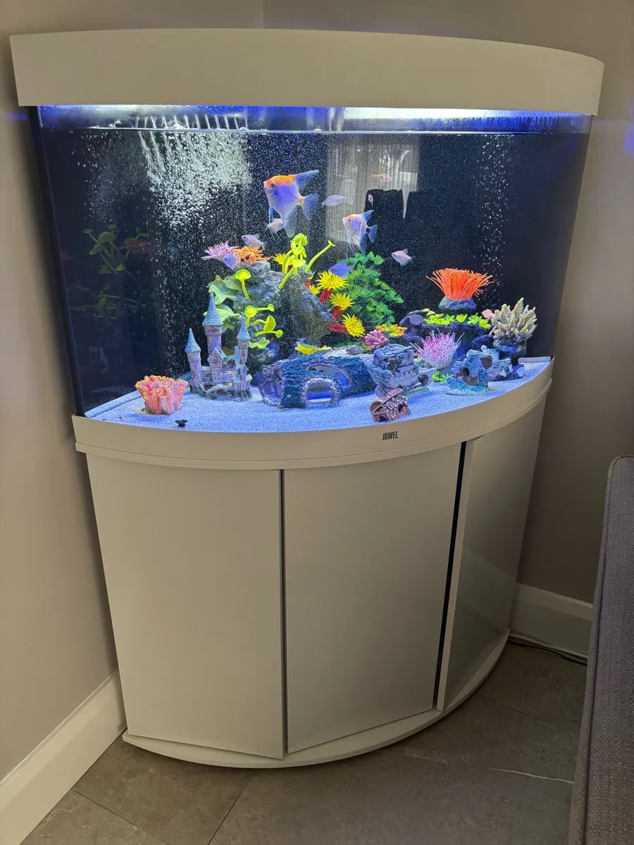 Juwel Fish tank and stand unit - Image 1