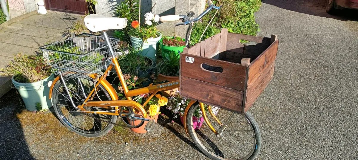 Vintage bicycle - Image 3