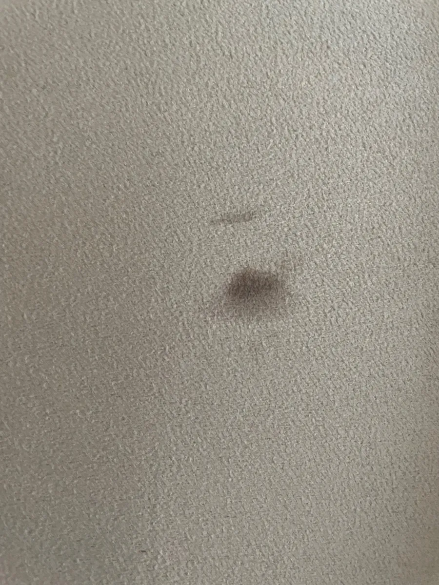 Sofa Bed - Image 3