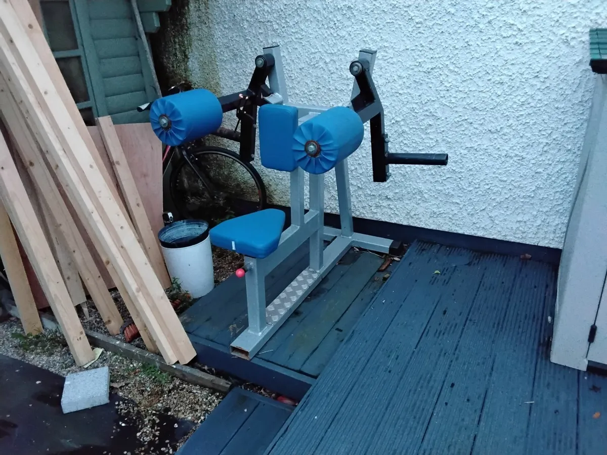 Lateral raise machine plate loaded
