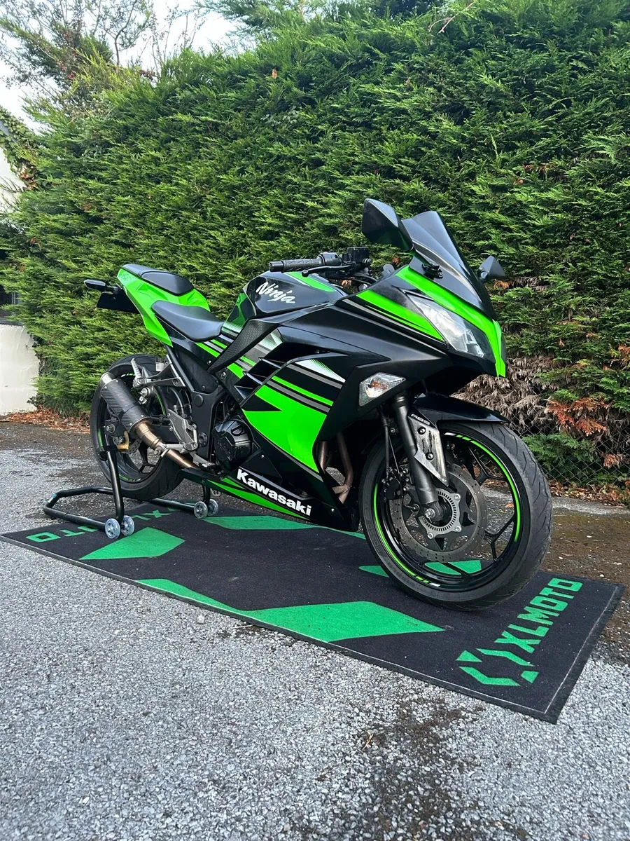 Kawasaki Ninja 300 - Image 1