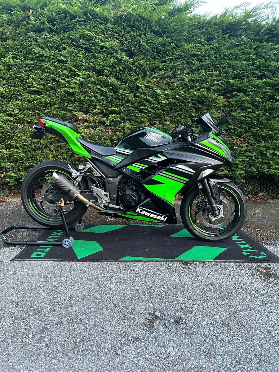 Kawasaki Ninja 300 - Image 2