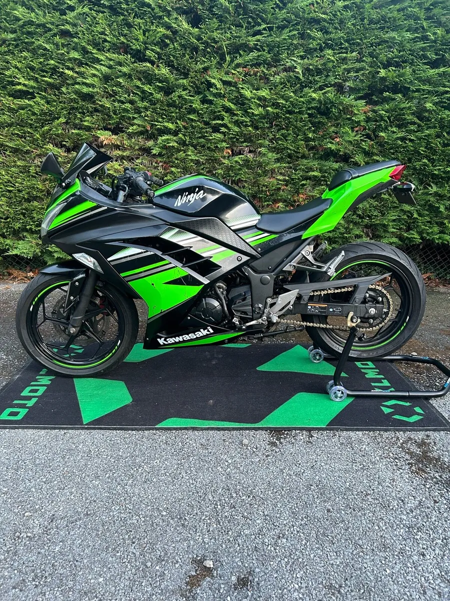 Kawasaki Ninja 300 - Image 3