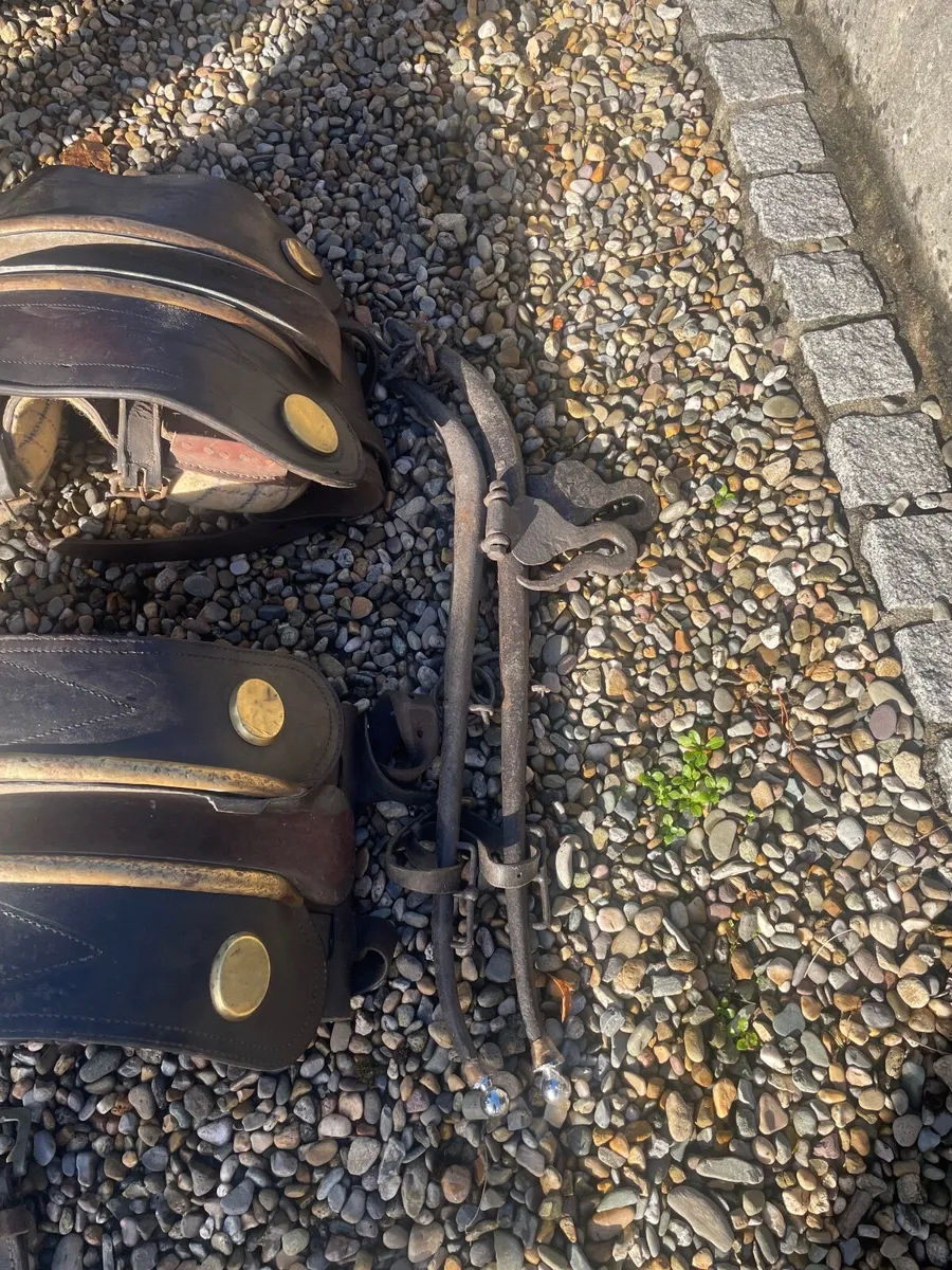 Set of brown/tan pony harness - Image 3
