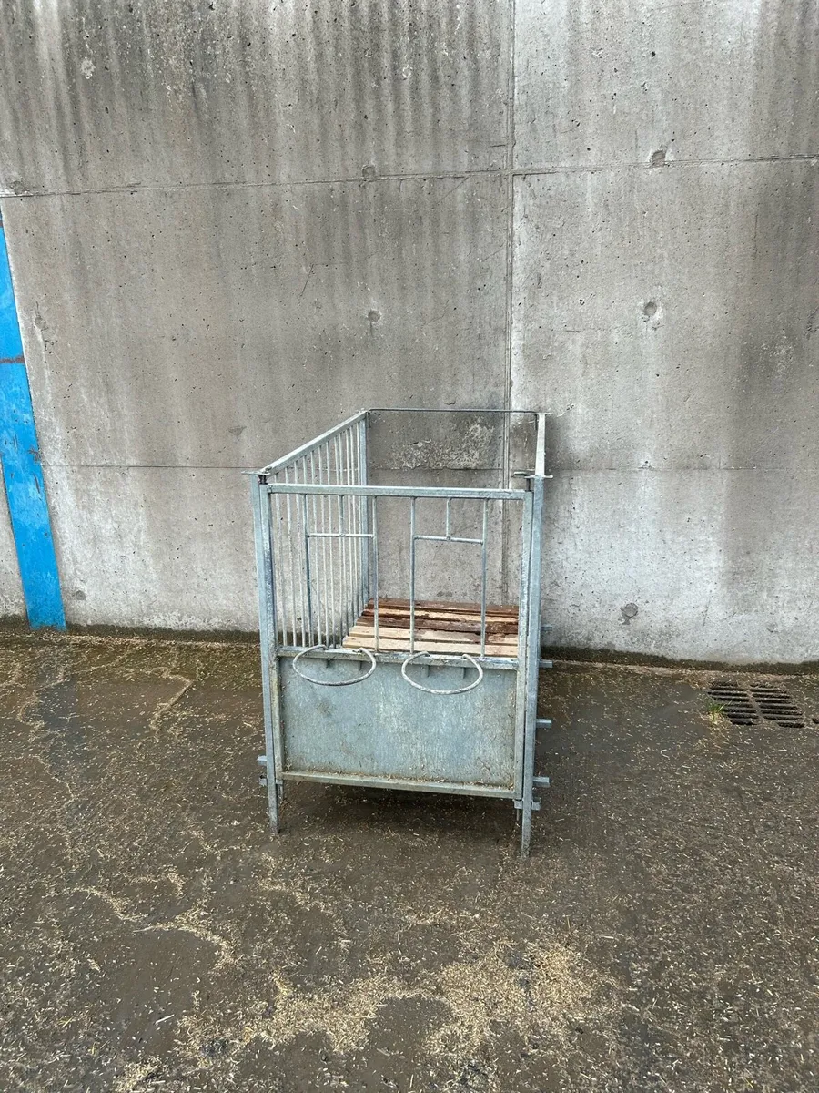 Calf pens - Image 1