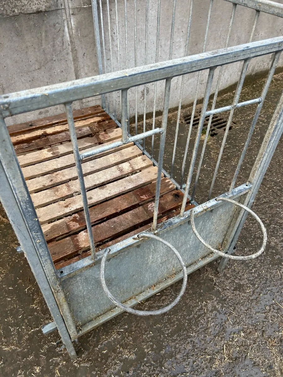 Calf pens - Image 3