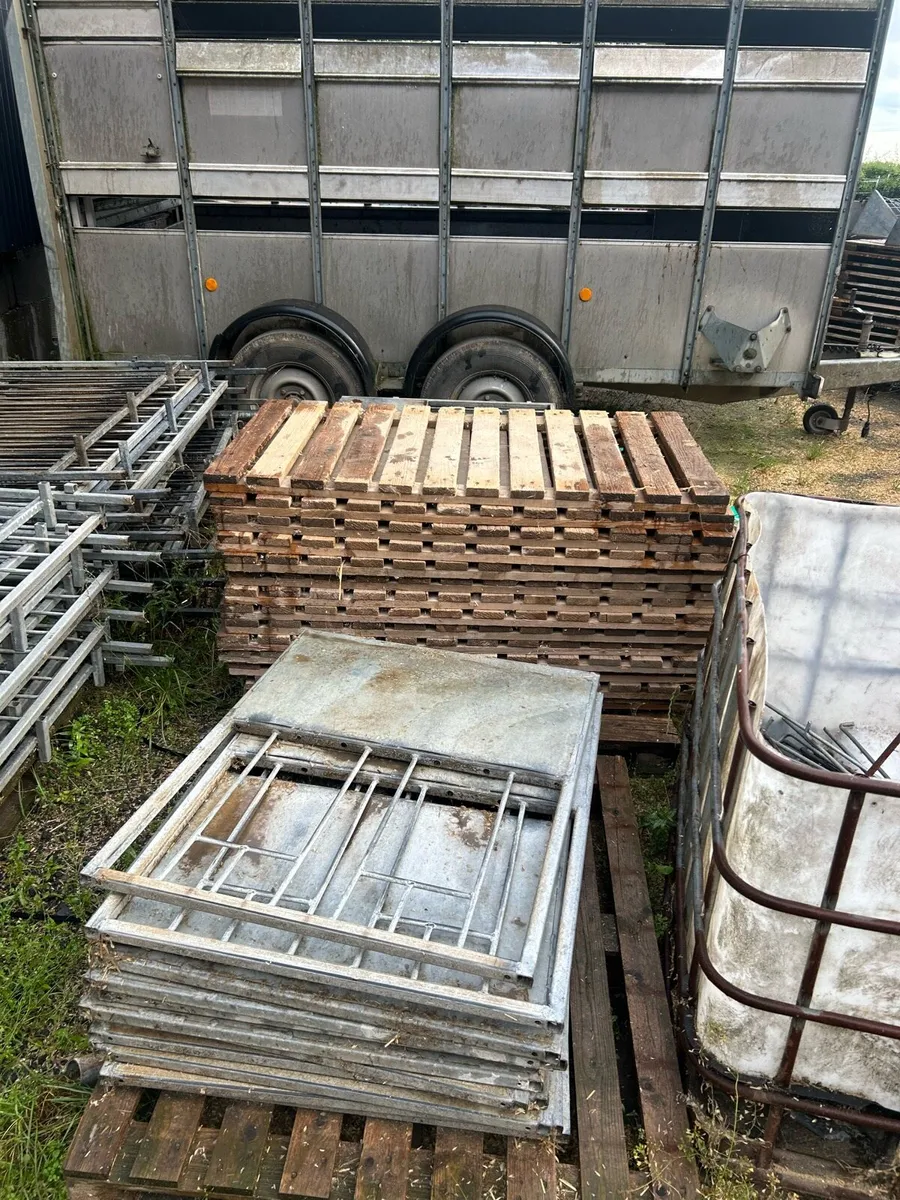 Calf pens - Image 4
