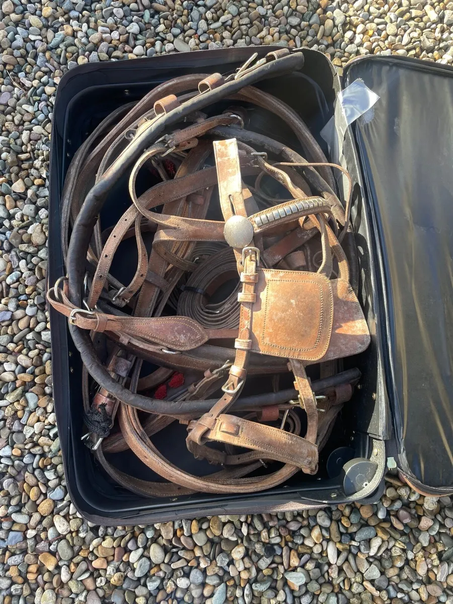 Set of brown/tan pony harness - Image 1