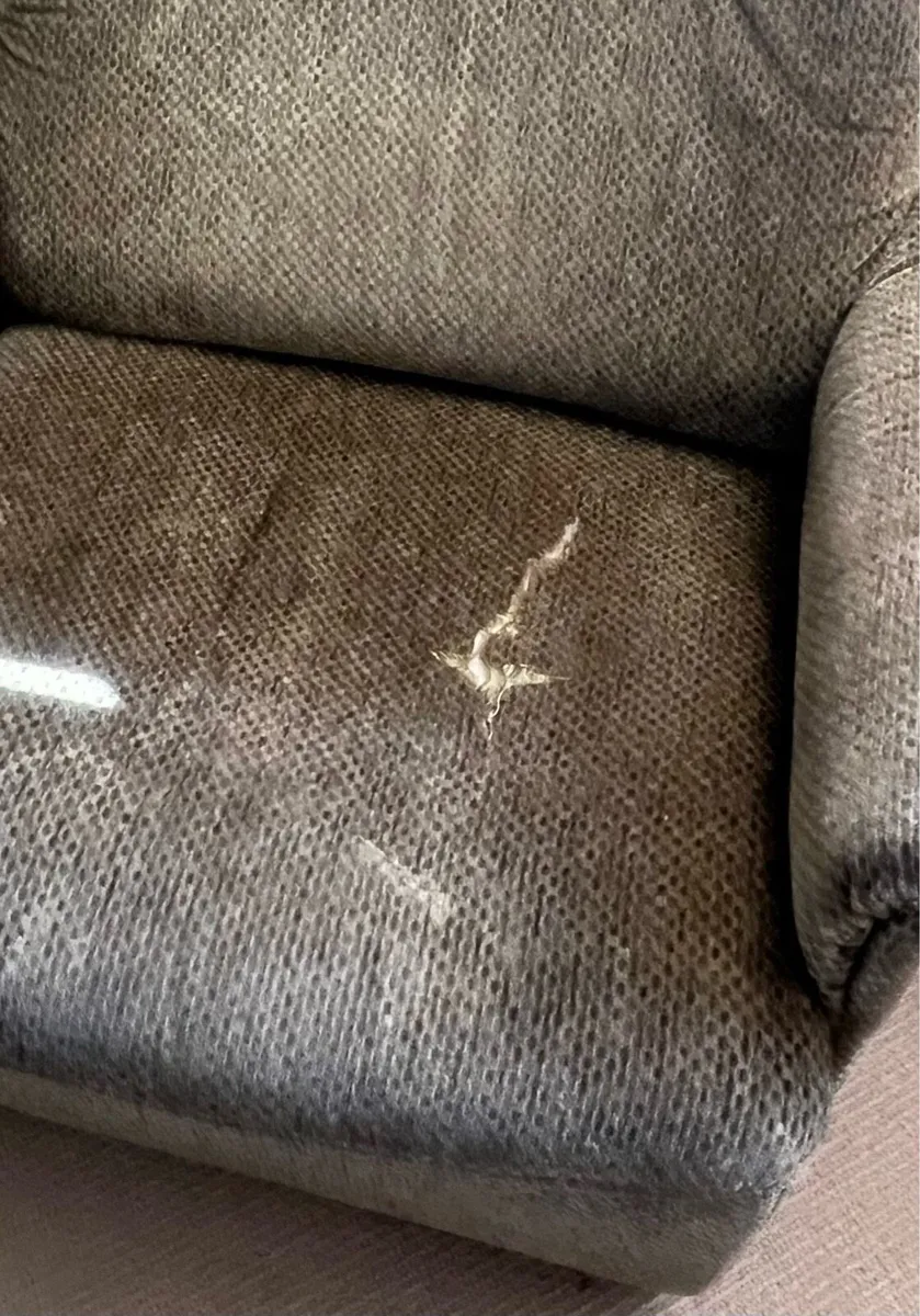 Armchairs- free - Image 3