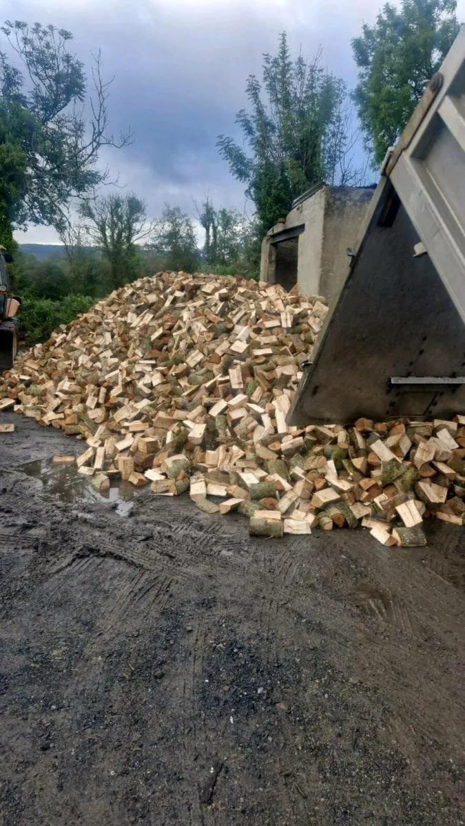 Hardwood timber - Image 1