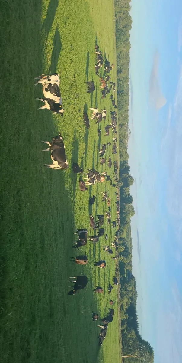 🐄🐄 Farm Worker Required 🐄🐄 - Image 2
