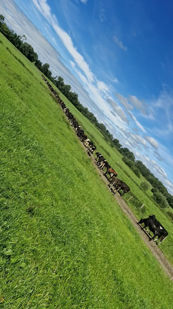 🐄🐄 Farm Worker Required 🐄🐄 - Image 3