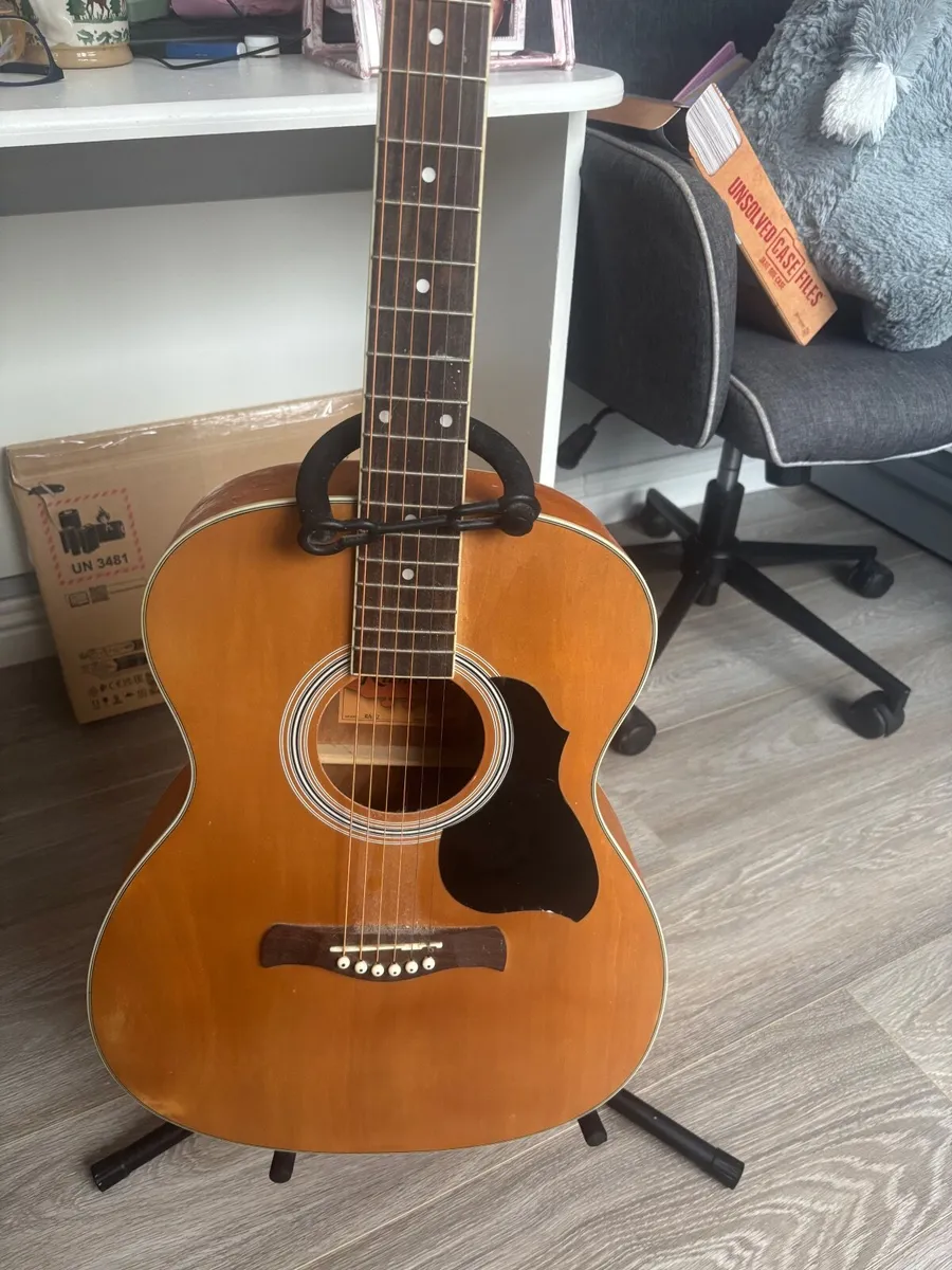 Guitar