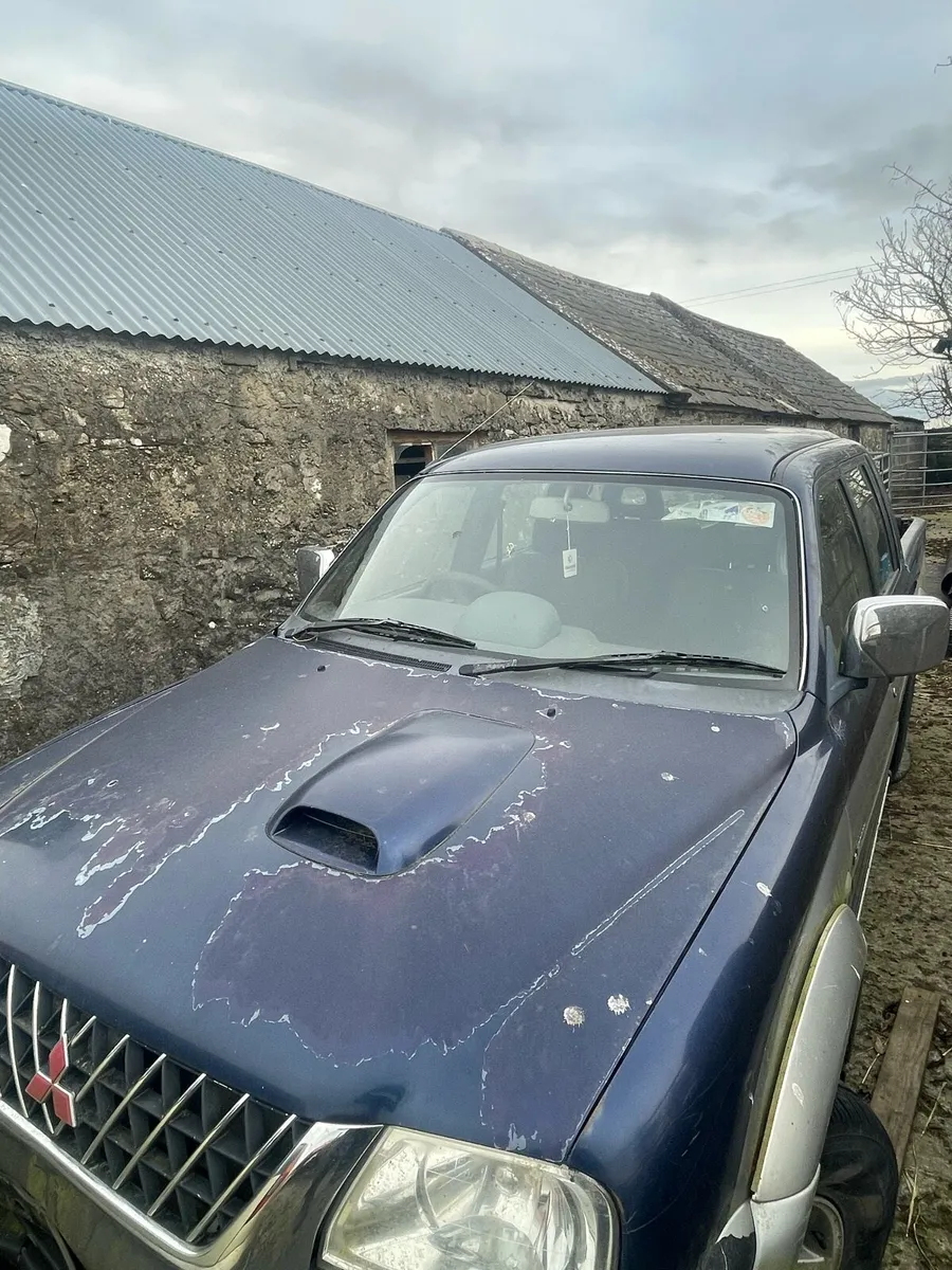L200 sheer grab - Image 3