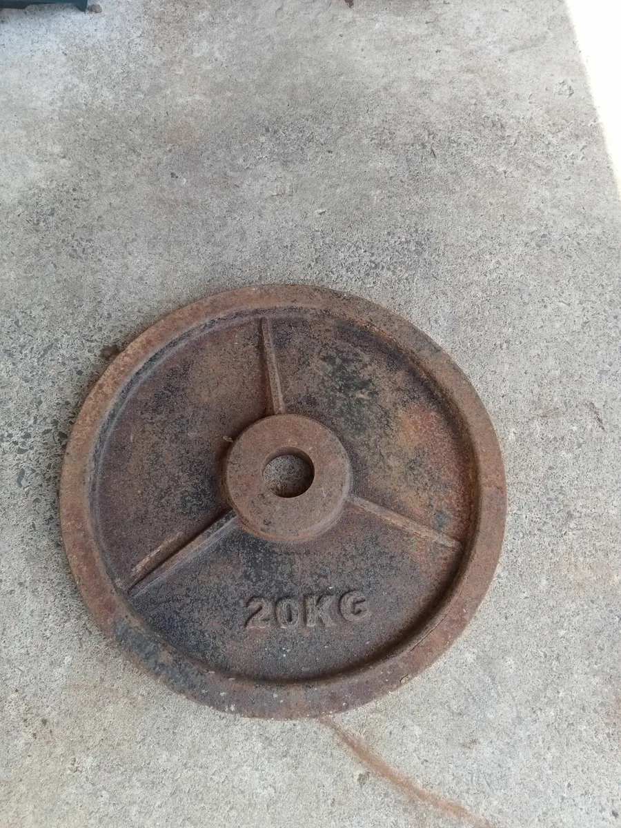Cast Iron Weight plates - Image 1