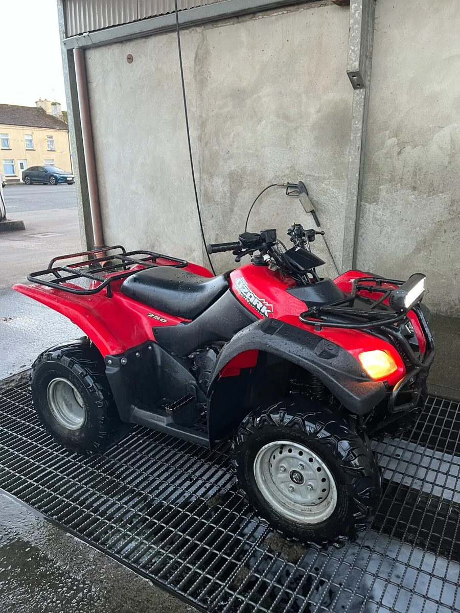 Suzuki ozark 250 - Image 2