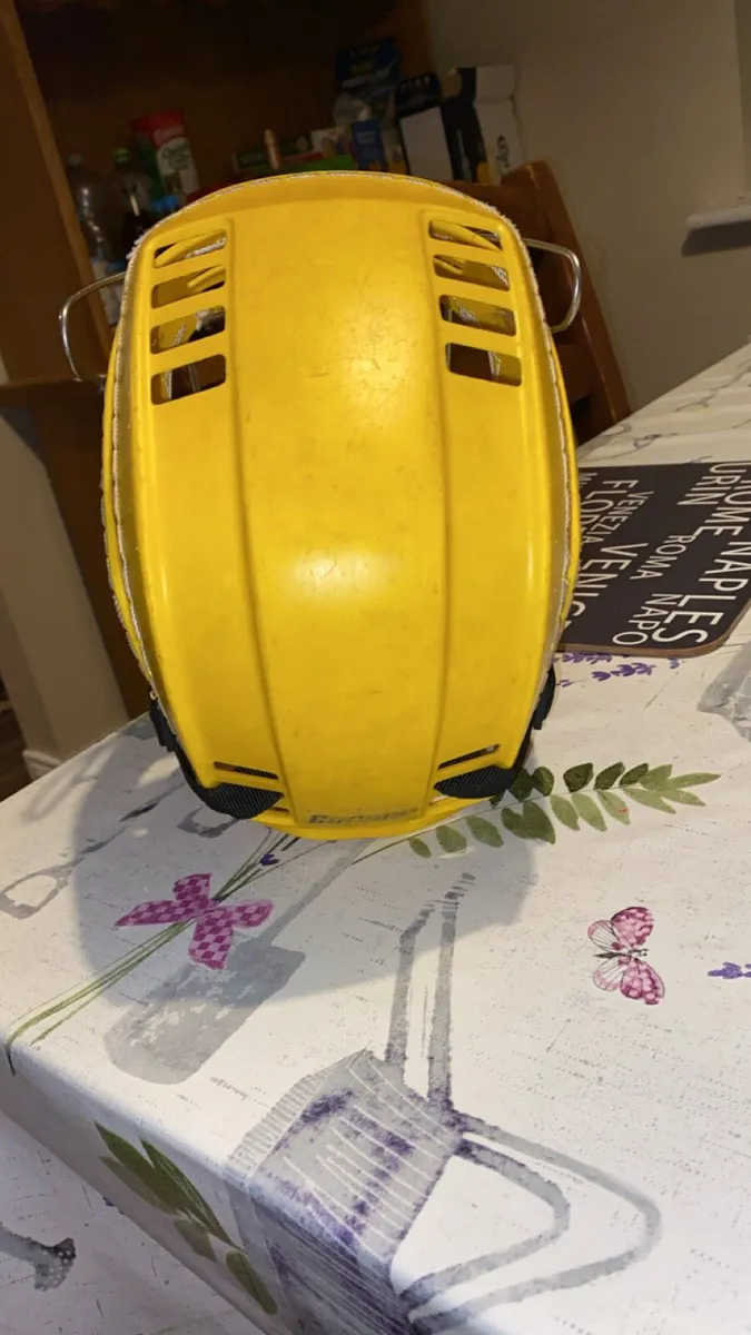 Yellow cooper - Image 3