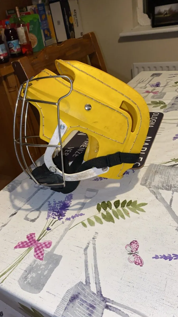 Yellow cooper - Image 4