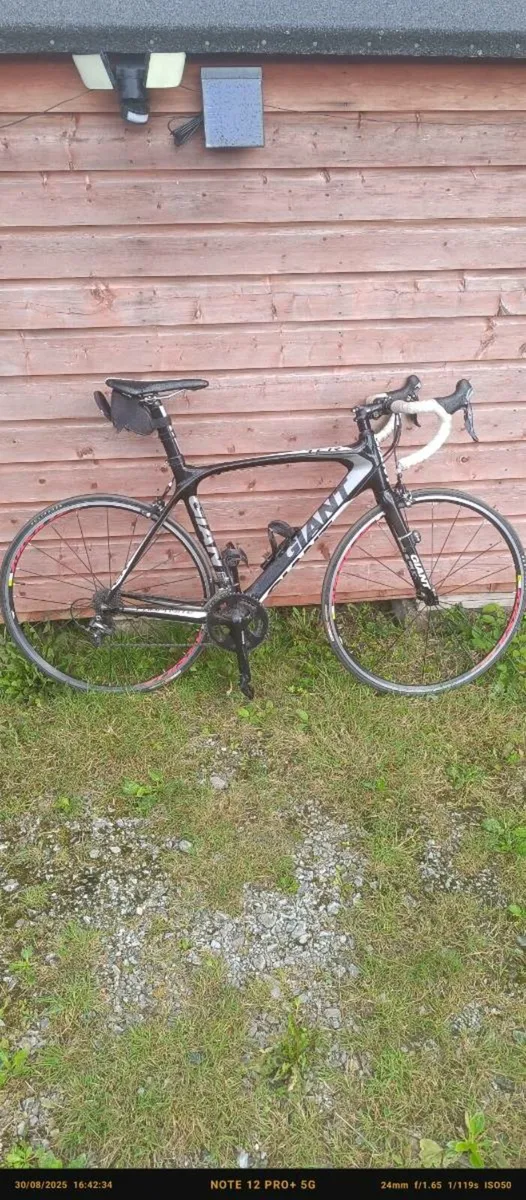 Giant TCR composite 2 - Image 1
