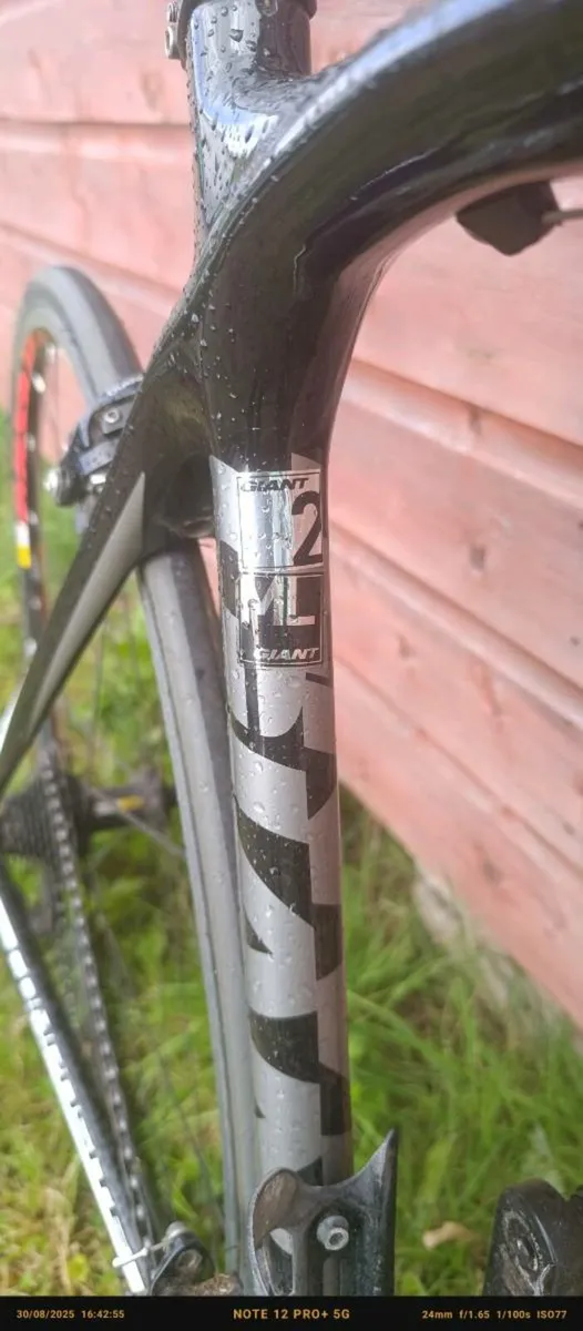 Giant TCR composite 2 - Image 4