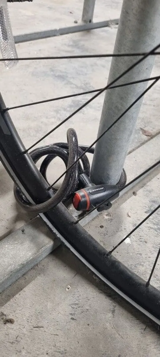 GIANT Model Bike-Good Condition-Including all accessories in the photos - Image 3