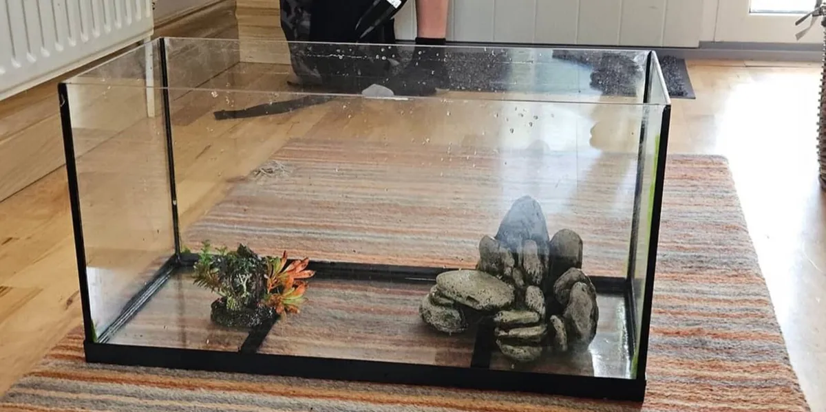 Large fish tank