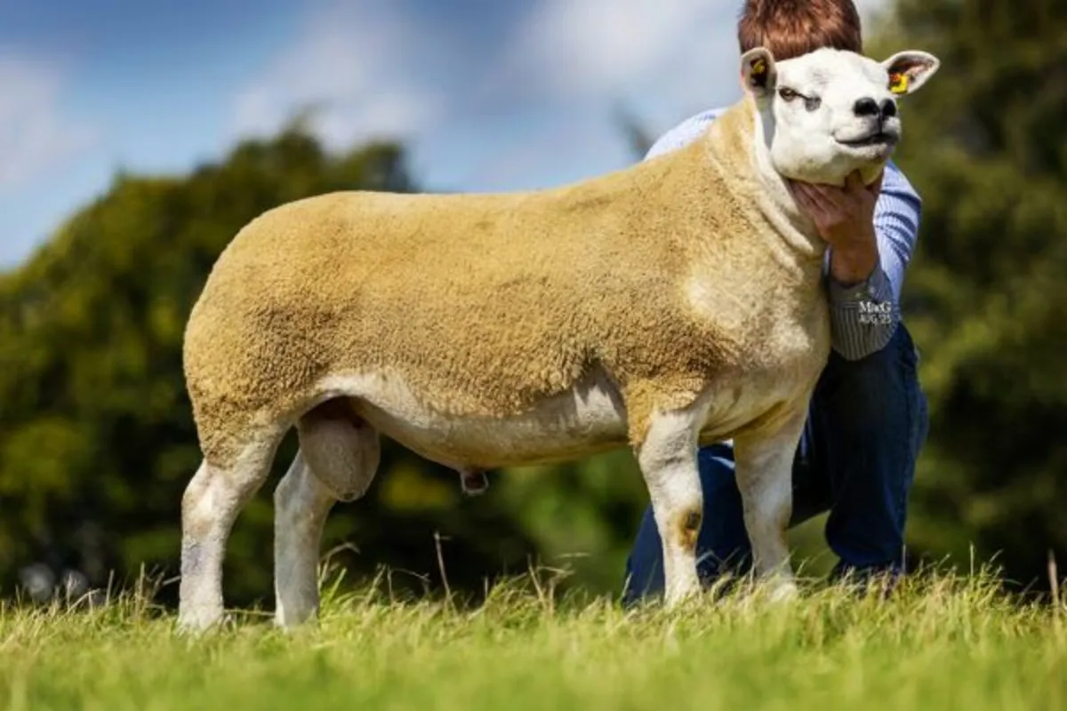 Win €100 Voucher Texel Premier