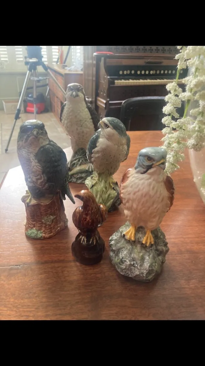 Birds of prey 1979 collection - Image 1