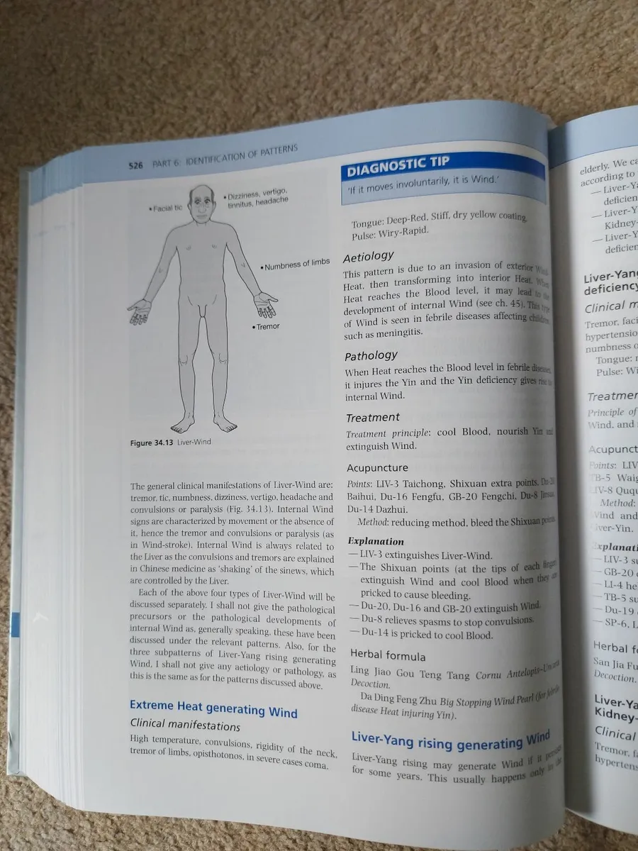 Chinese Medicine \Accupuncture - Image 2