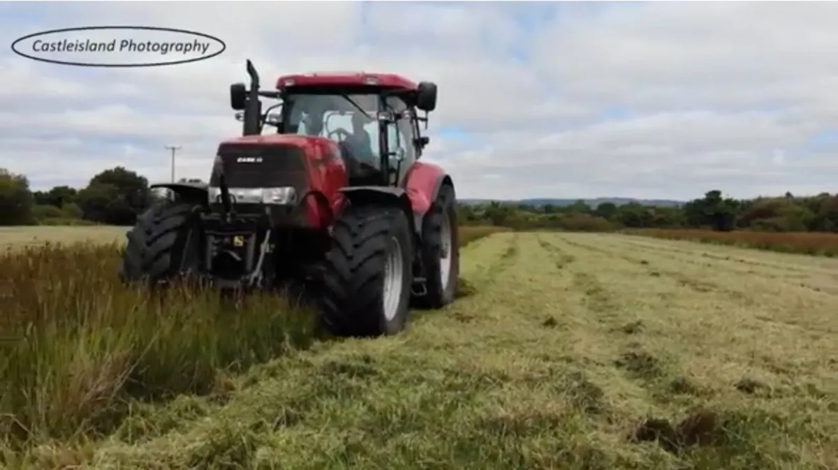 Hedge Cutting Hire & Mulching Services - Image 3