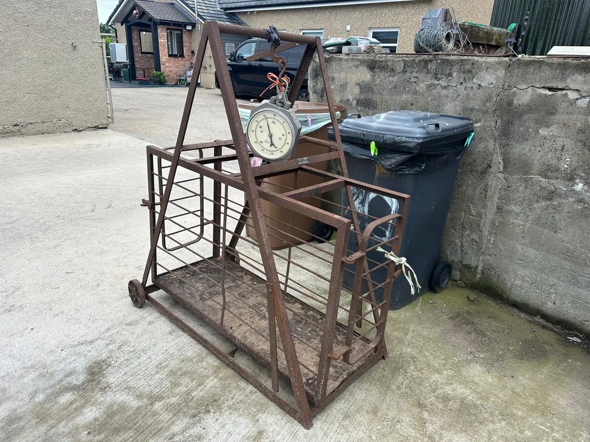 Pig weigh bridge vintage cutting bar - Image 1