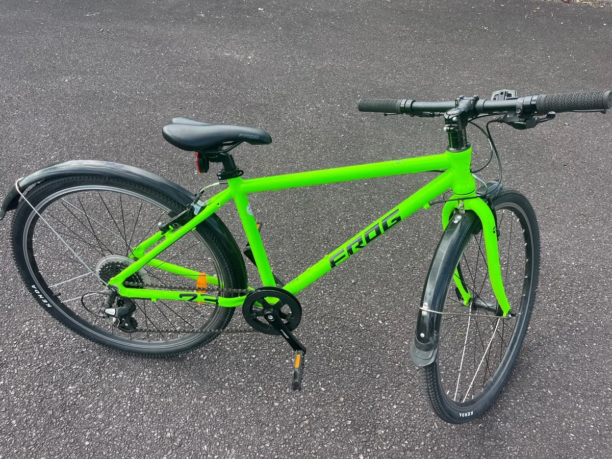 Kids frog bike 73 perfect condition for 12 + years - Image 1