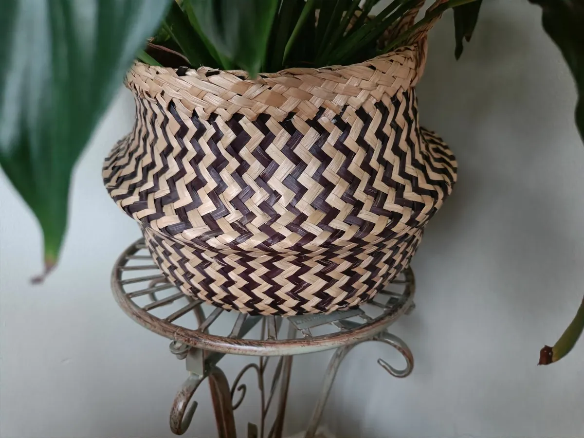 Peace lily - Image 4