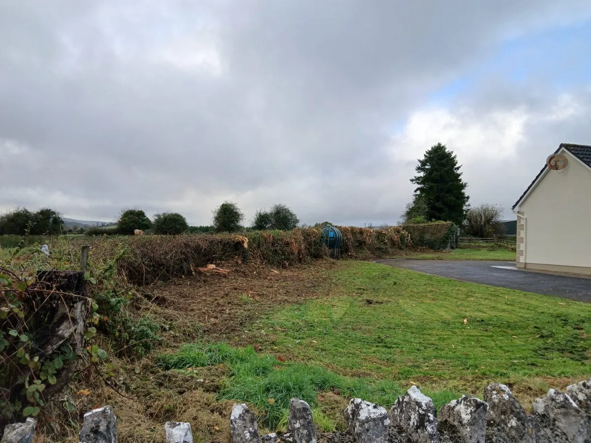 Hedge cutting Hire - Image 2