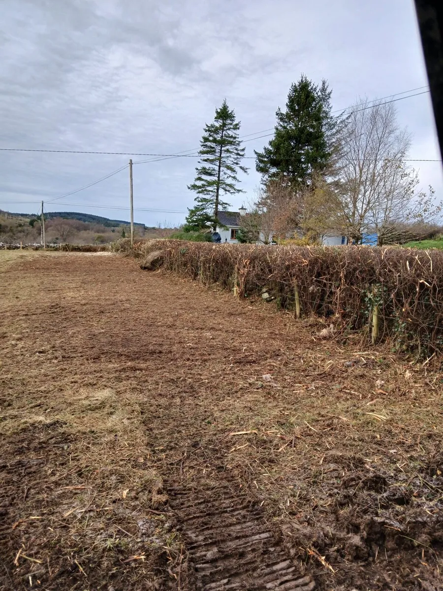 Hedge cutting Hire - Image 4