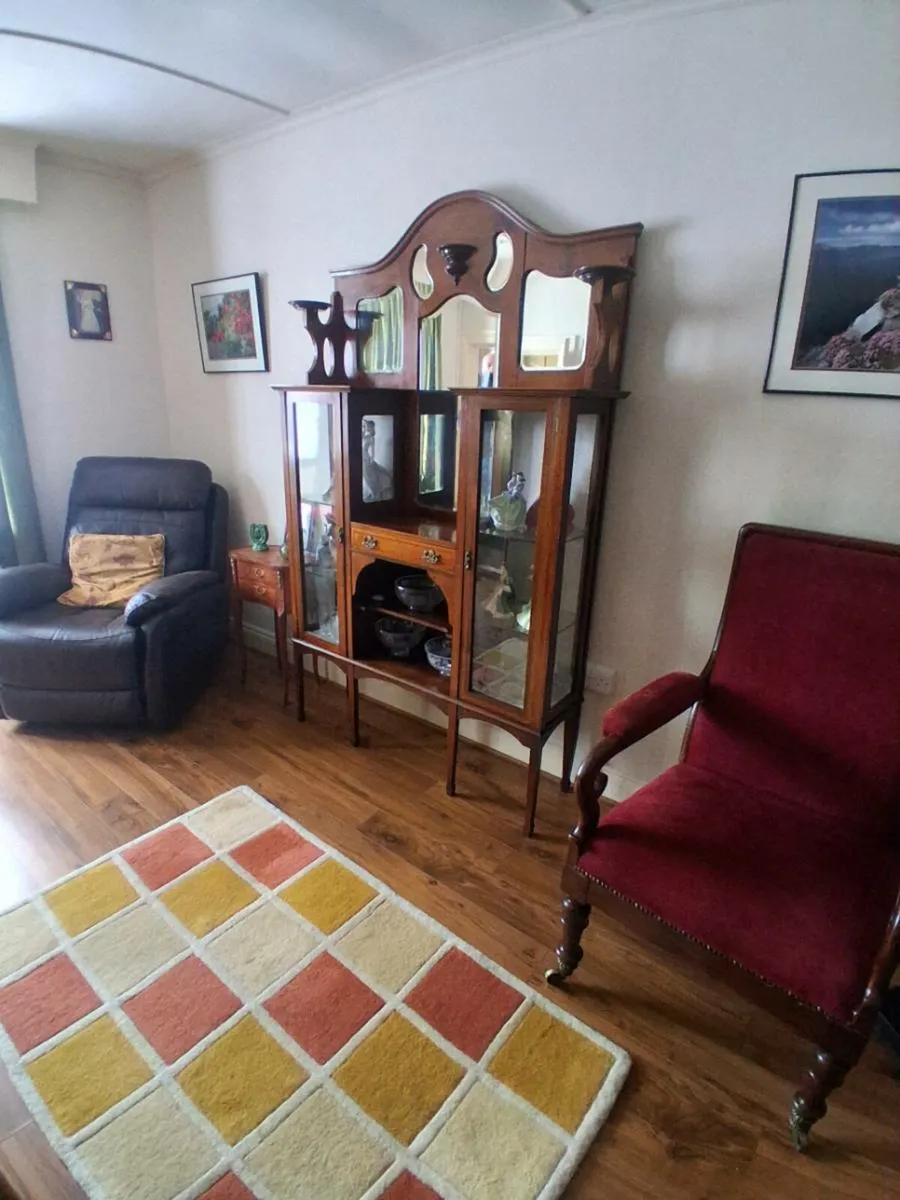 ANTIQUE DISPLAY CABINET - Image 2