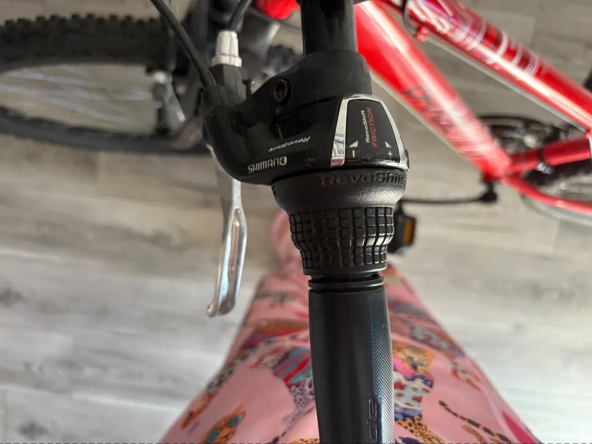Bike - Image 2