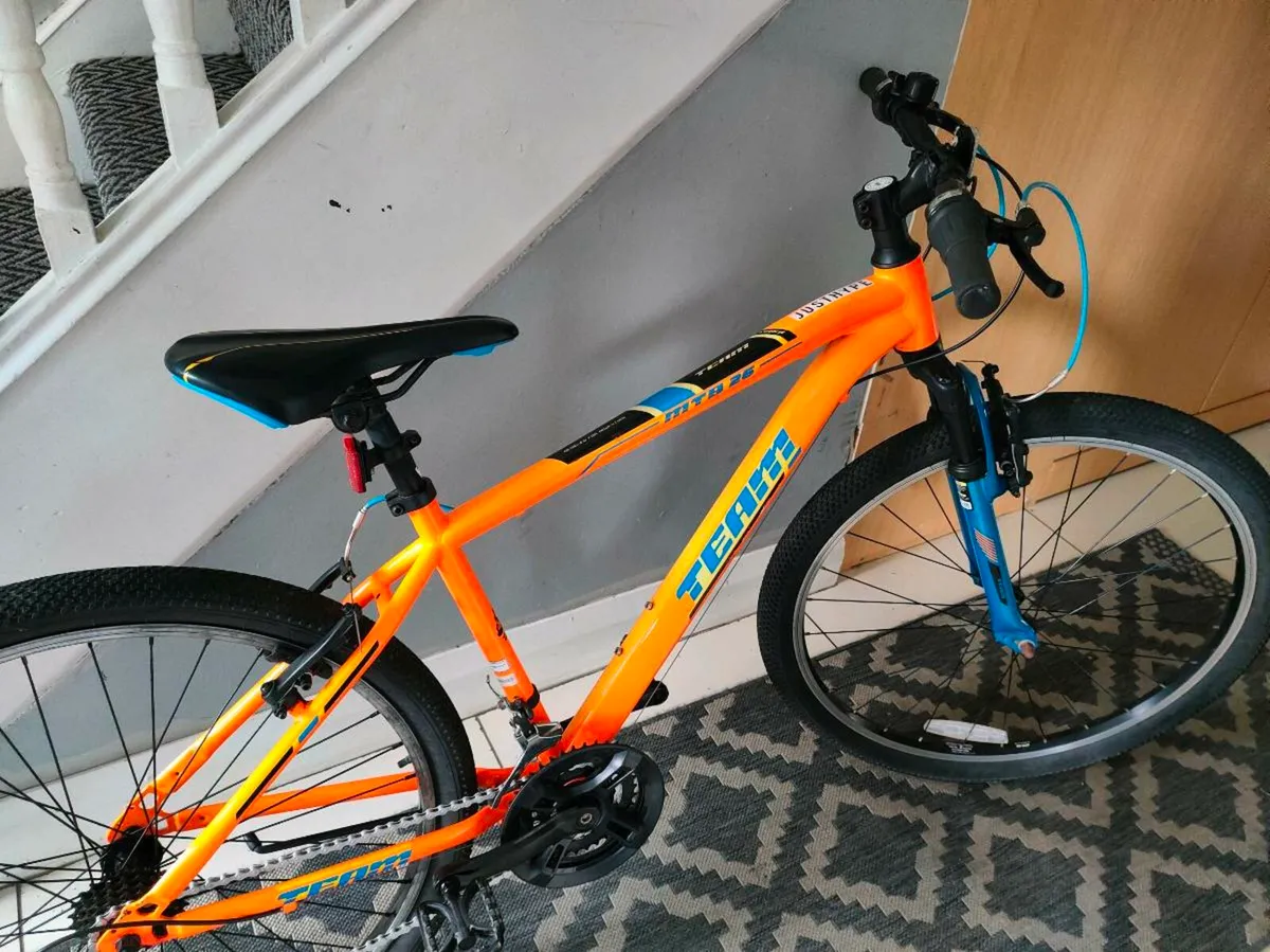 Teenagers mountain bike