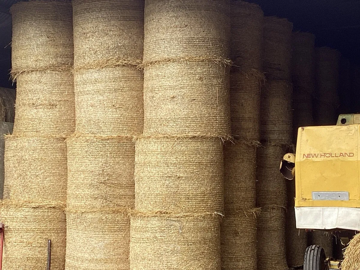 18 Bales of wheaten Straw