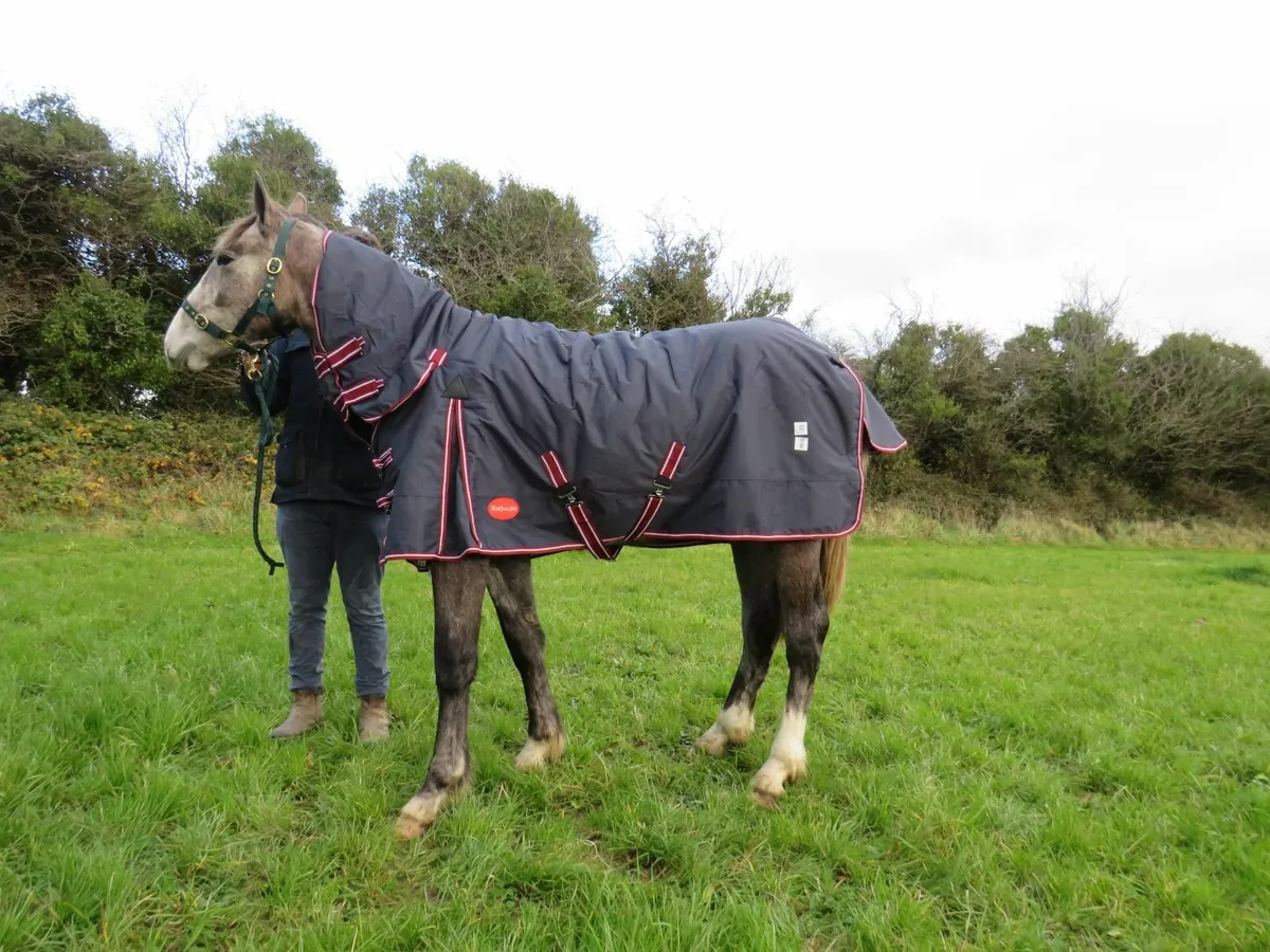 Waterproof horse rugs - Delivery Nationwide - Image 1