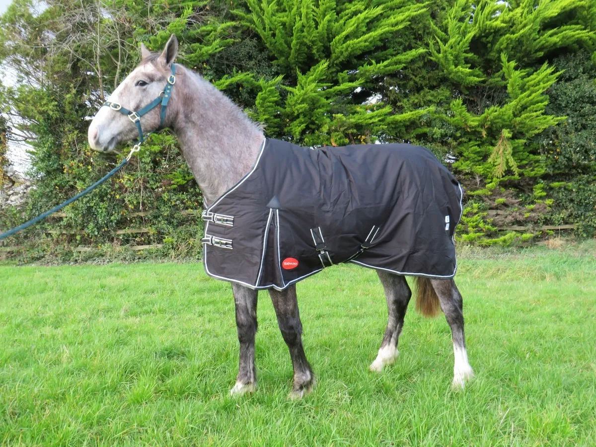 Horse Rugs - available in all sizes - Image 4