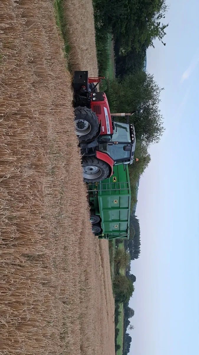 Massey ferguson 6480 - Image 4