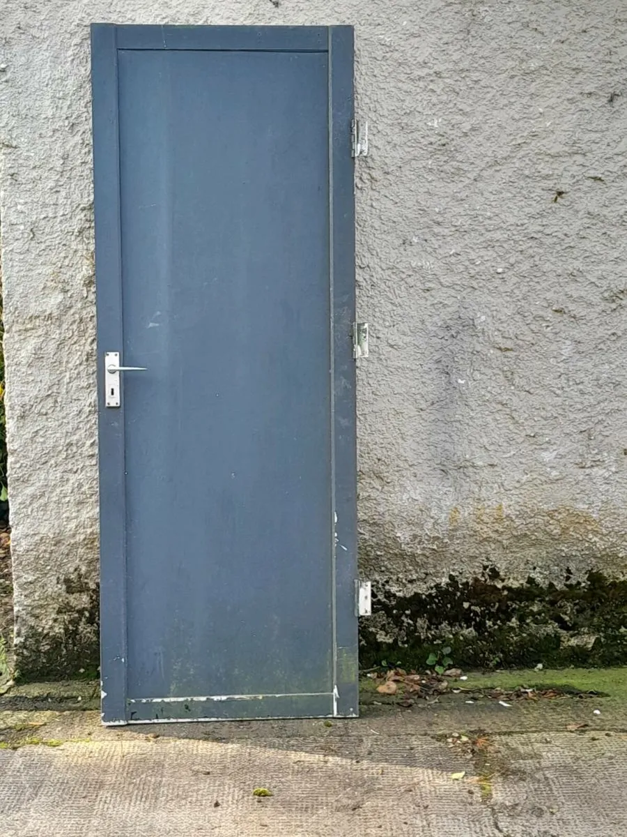 ALUMINIUM  SHED DOOR. - Image 2
