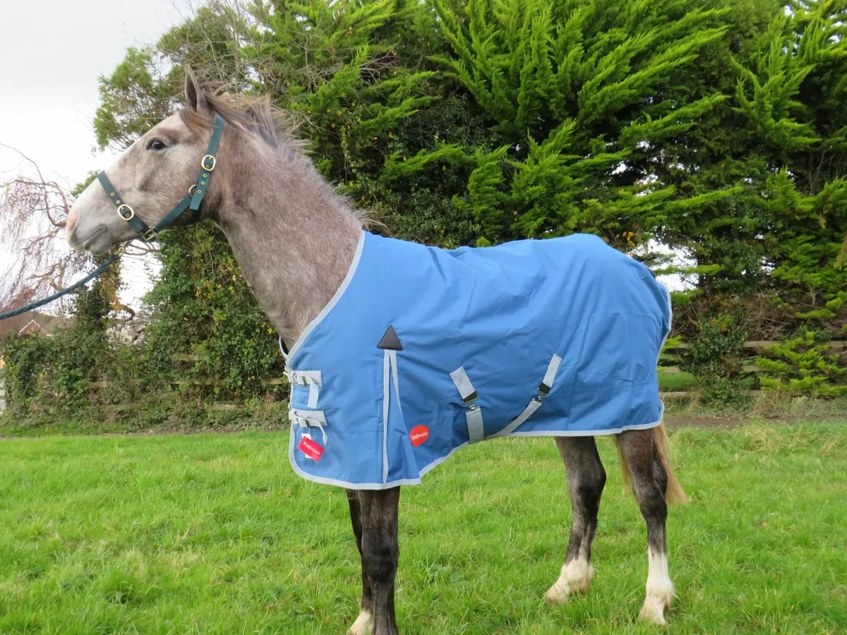 Horse rugs - Image 2