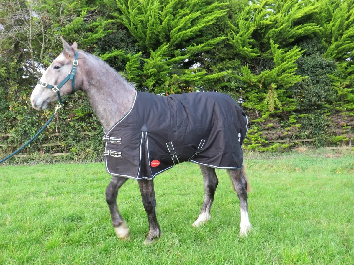 Horse rugs - Image 3