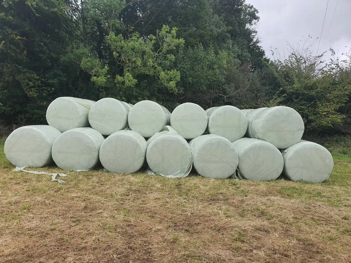 Organic Haylage Bales