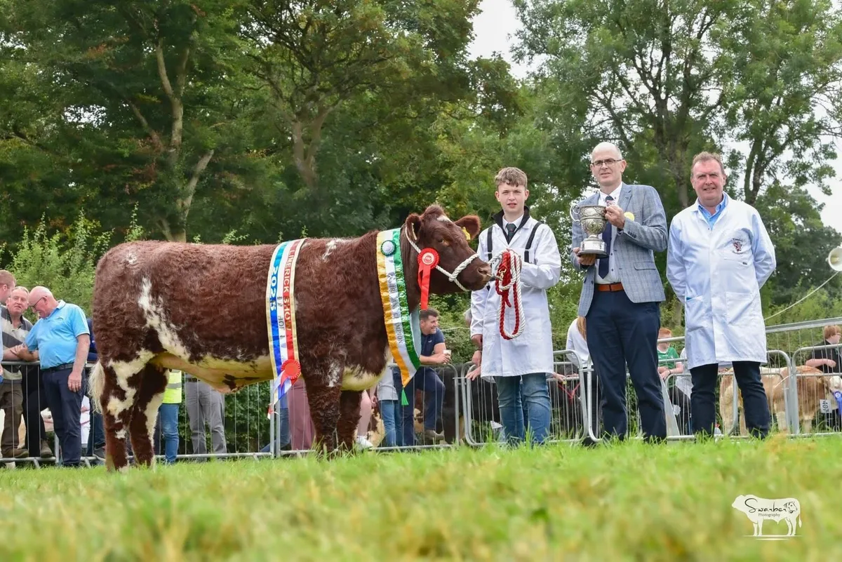 Livestock - Image 2
