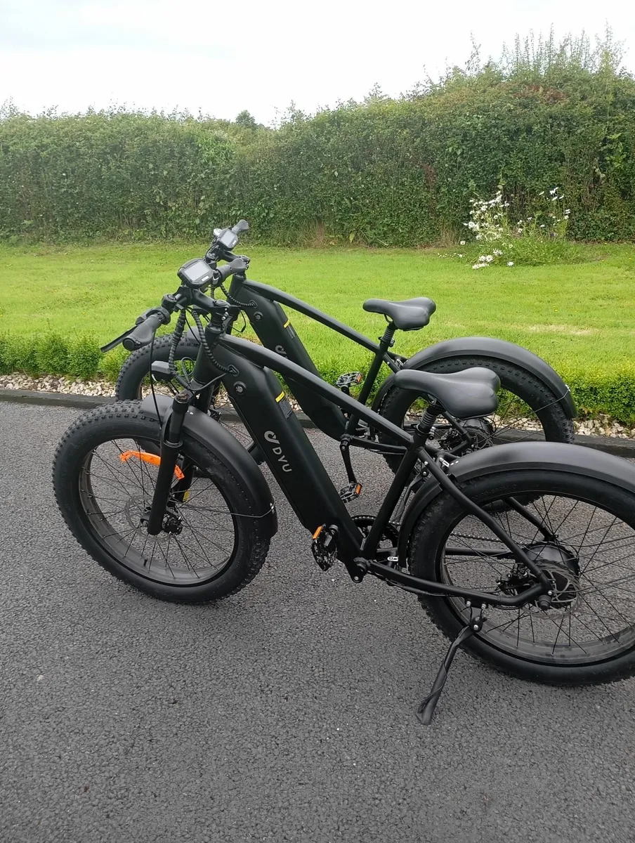 Electric bike - Image 1